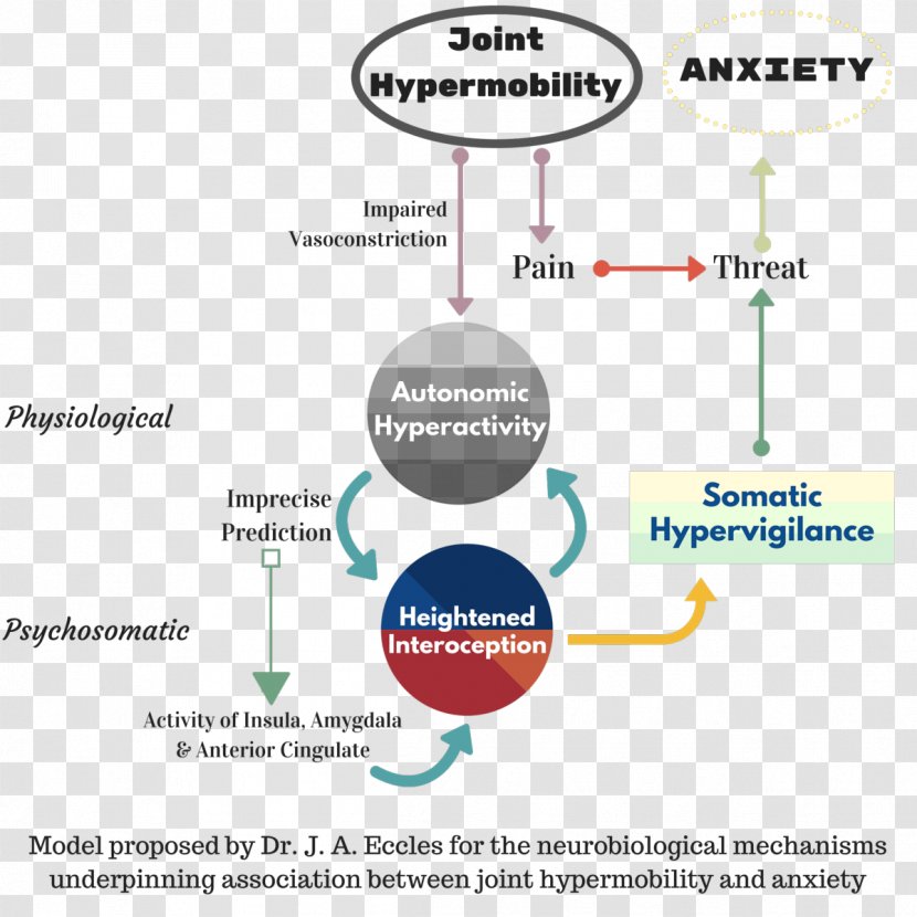 Hypermobility Joint Symptom Anxiety Disorder - Area Transparent PNG