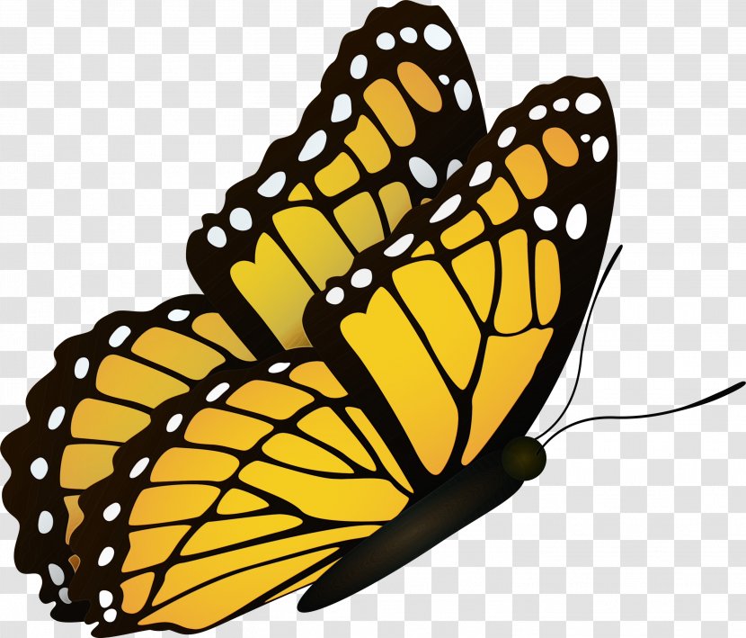 Monarch Butterfly - Yellow Pollinator Transparent PNG