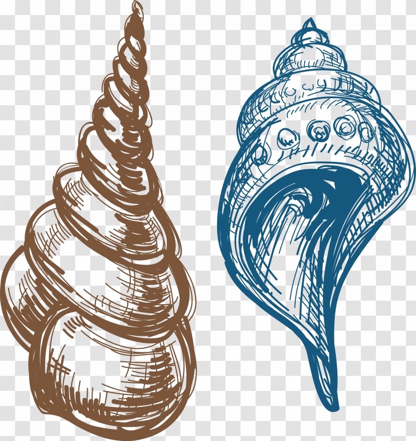 Caracola Clip Art - Conch Transparent PNG