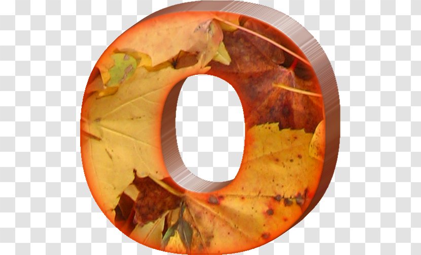 Letter Alphabet Autumn W - Information - Lettering Transparent PNG