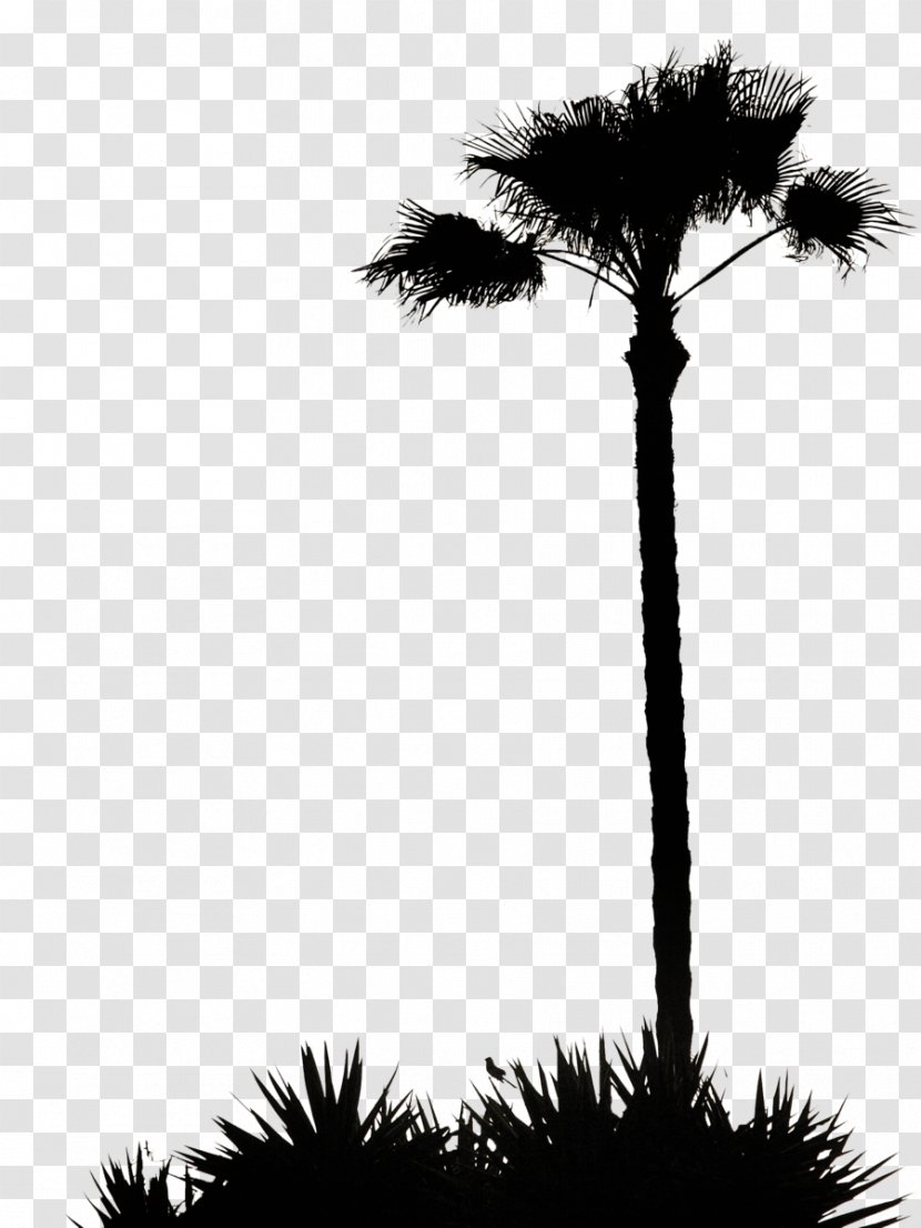 Carbon Footprint Ecological Sustainability Tree Clip Art - Palm - Silhouette Transparent PNG