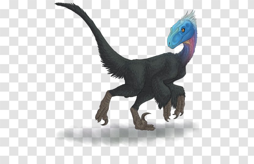 Velociraptor Deinonychus Bambiraptor Dinosaur Reptile - Animal Transparent PNG
