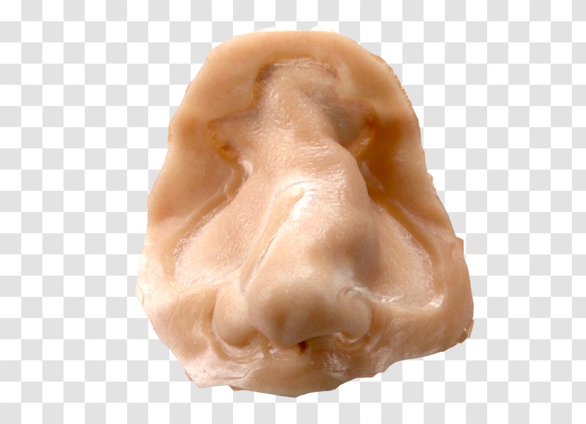 Praline - Special Effects Prosthetics Transparent PNG
