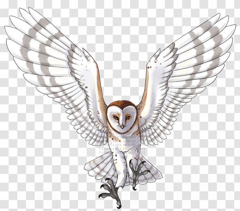 Owl Line Art Beak Feather - Character Transparent PNG