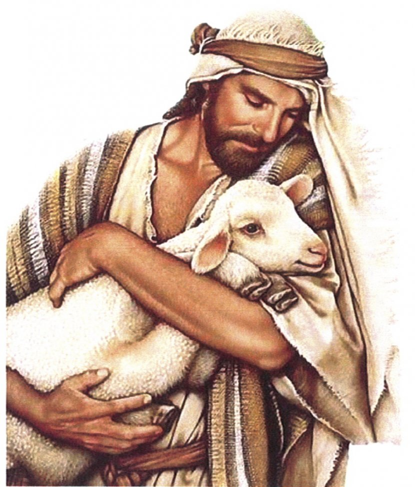 Sheep Jesus Psalm 23 Psalms The Good Shepherd - Christ Transparent PNG