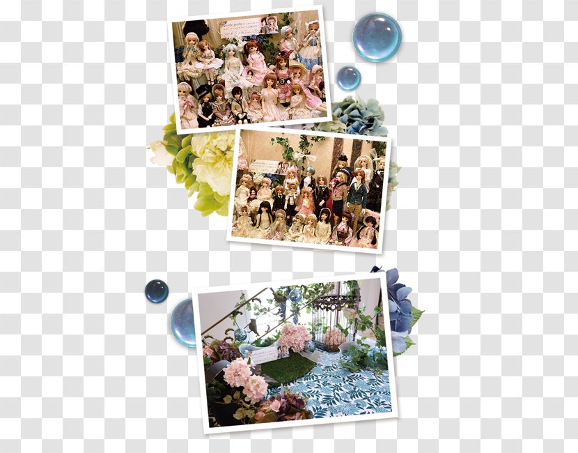 Floral Design Photo Albums Flower Photograph - Private Parties Transparent PNG