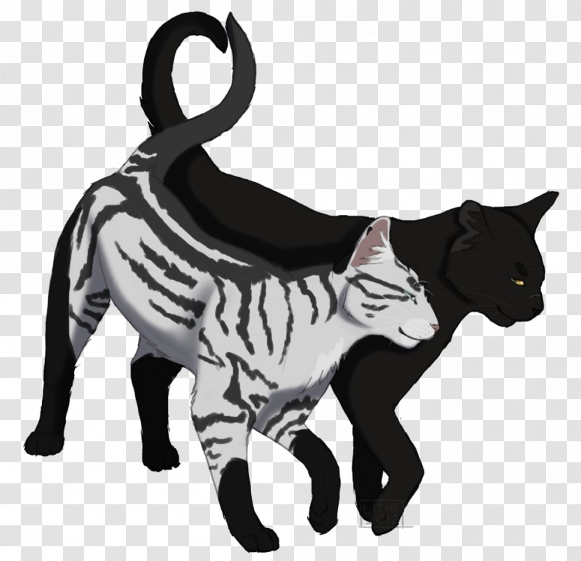 Whiskers Domestic Short-haired Cat Warriors Art - Like Mammal Transparent PNG