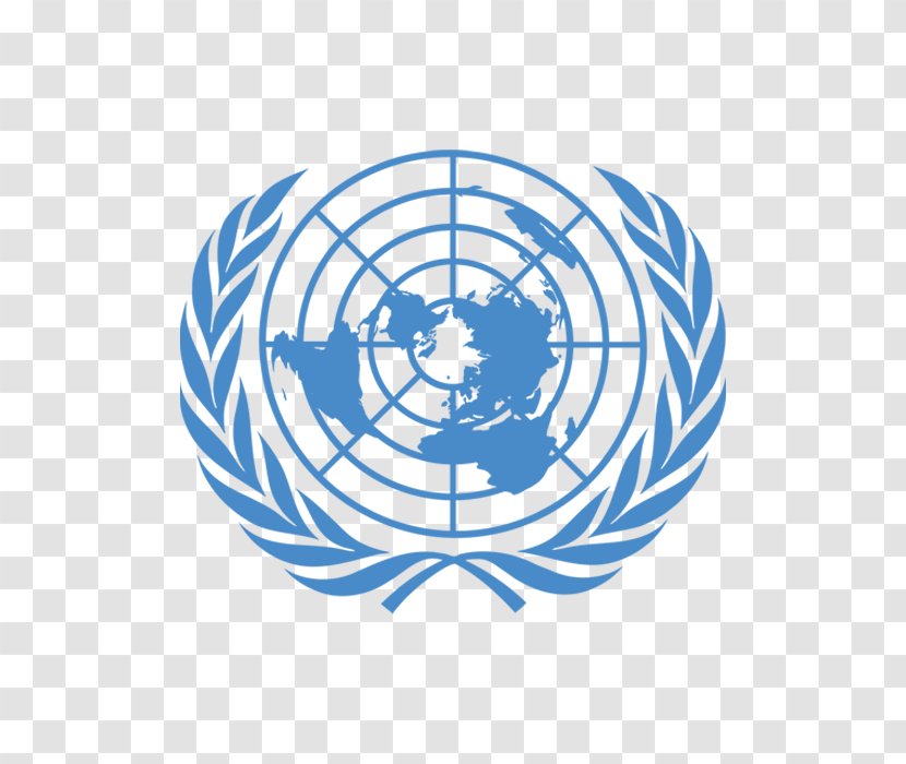 Flag Of The United Nations Model System Human Rights - World Health Organization Transparent PNG