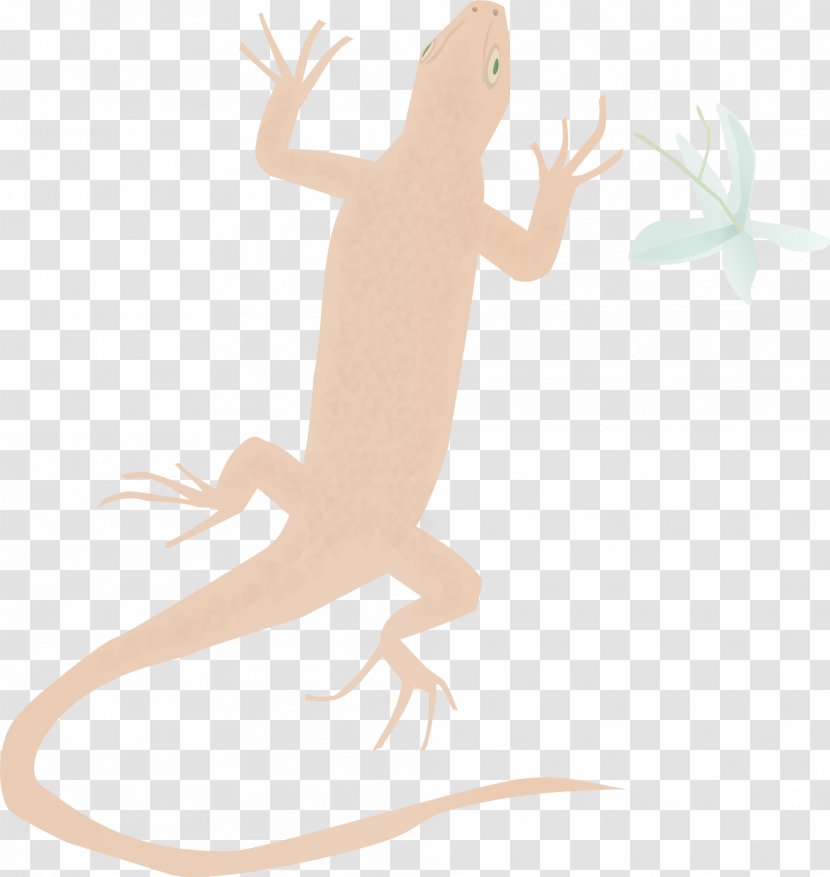Reptile Amphibian Cartoon Character - Fauna Transparent PNG