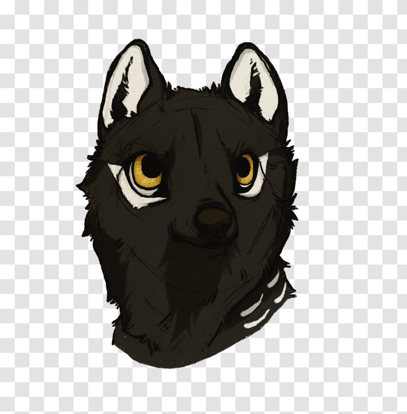 Whiskers Black Cat Snout Transparent PNG