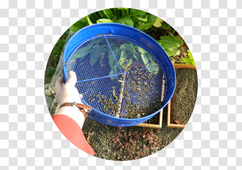 Sieve Soil Riddle Garden Tool - Seedlings Transparent PNG