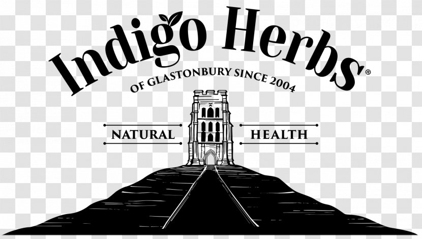 Herbal Tea Organic Food Indigo Herbs - Veganism Transparent PNG