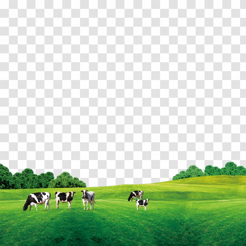 Cattle Cow's Milk - Biome - Grass On The Cow Transparent PNG