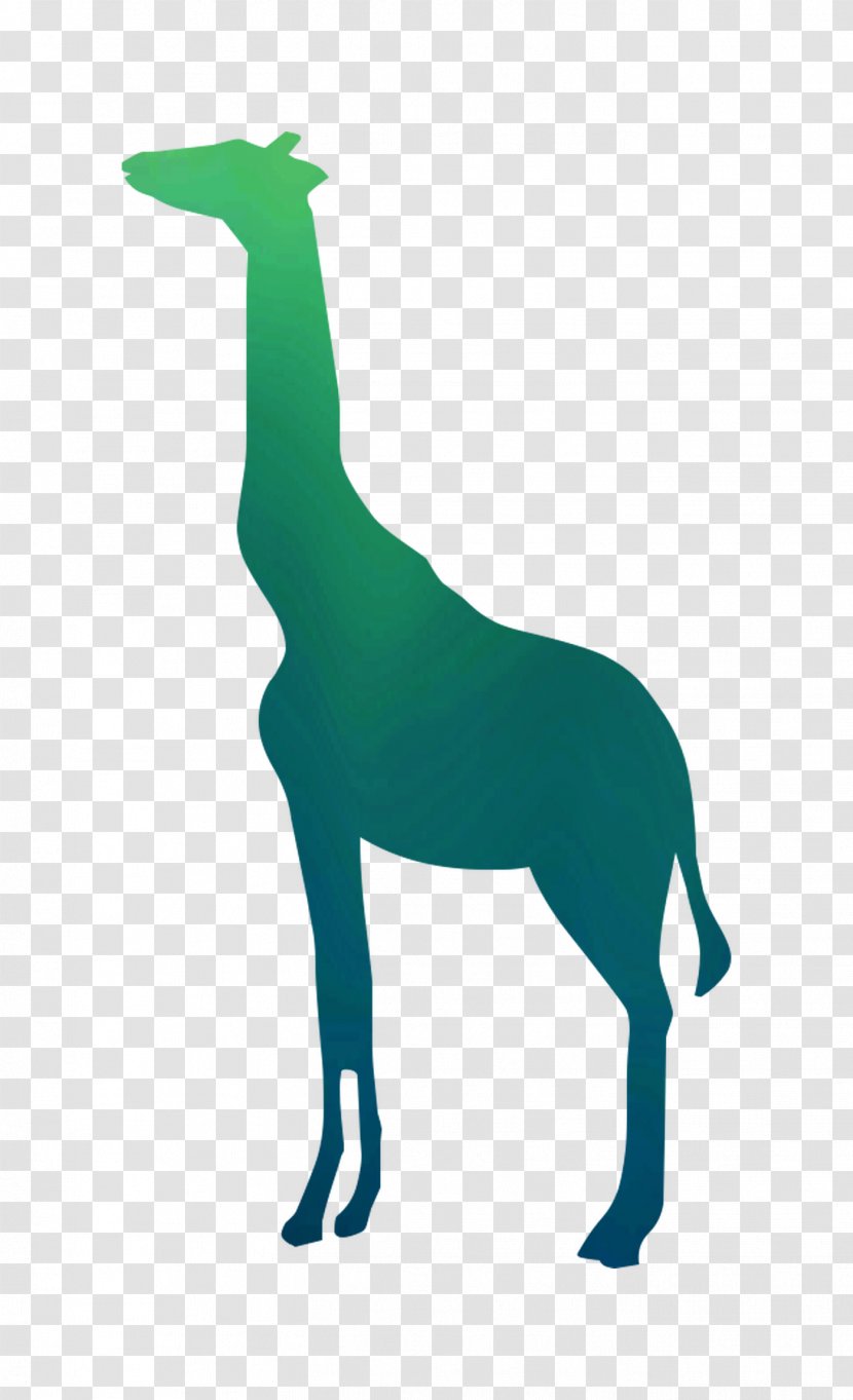 Giraffe Wall Decal Image Advertising Vector Graphics - Mammal Transparent PNG