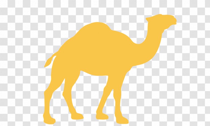 Dromedary Silhouette - Vertebrate - I've Been Lonely Camel Vector Transparent PNG