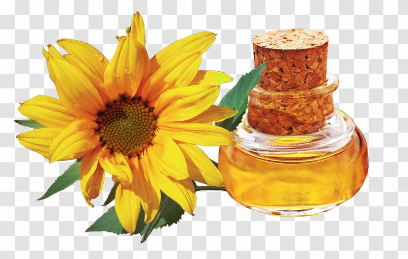 Sunflower Oil Peanut Health Skin - Canola Transparent PNG