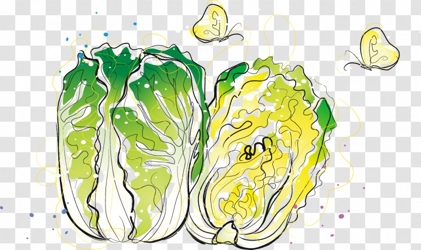 Chinese Cabbage Vegetable - Broccoli - Cartoon Painted Fresh Transparent PNG