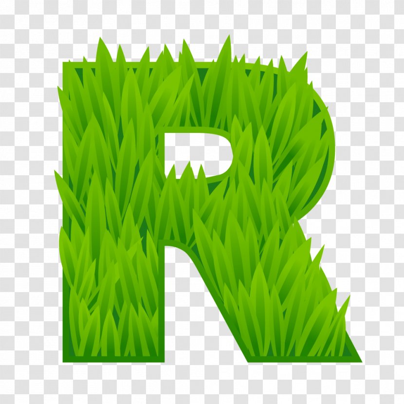 Meadow Lawn Font Letter Commodity - Grass Family - Grasses Transparent PNG