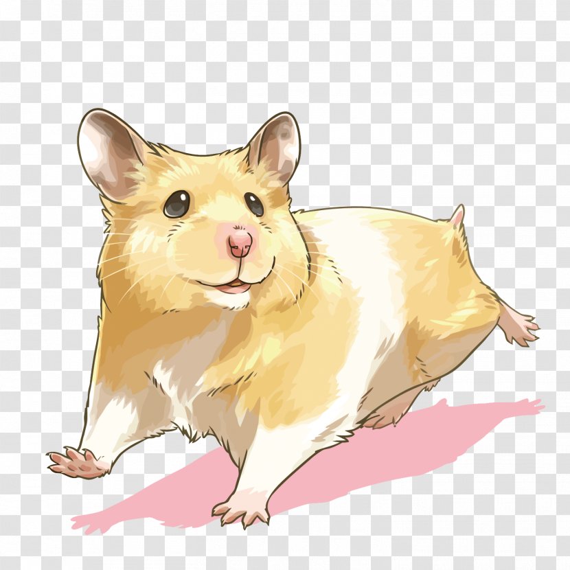 Vector Hamster - Mouse - Illustration Transparent PNG