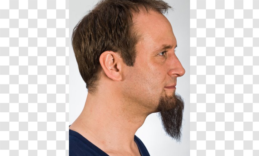 Beard Chin Goatee Facial Hair Sideburns - Moustache Transparent PNG