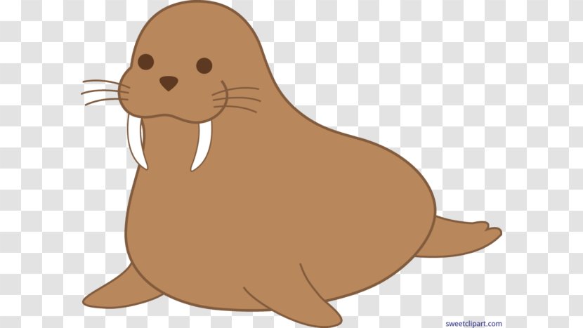 Walrus Download Clip Art - Whiskers Transparent PNG