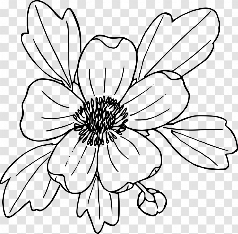 Flower Coloring Book Drawing Clip Art - Poppy - Daffodil Transparent PNG