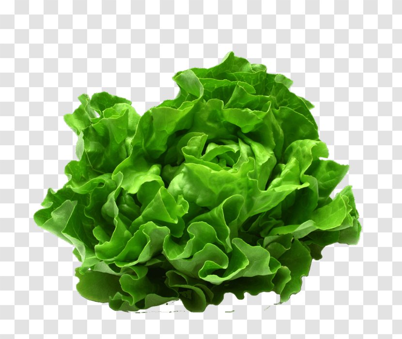 Caesar Salad Food Leaf Vegetable Kapsalon - Iceberg Lettuce Transparent PNG