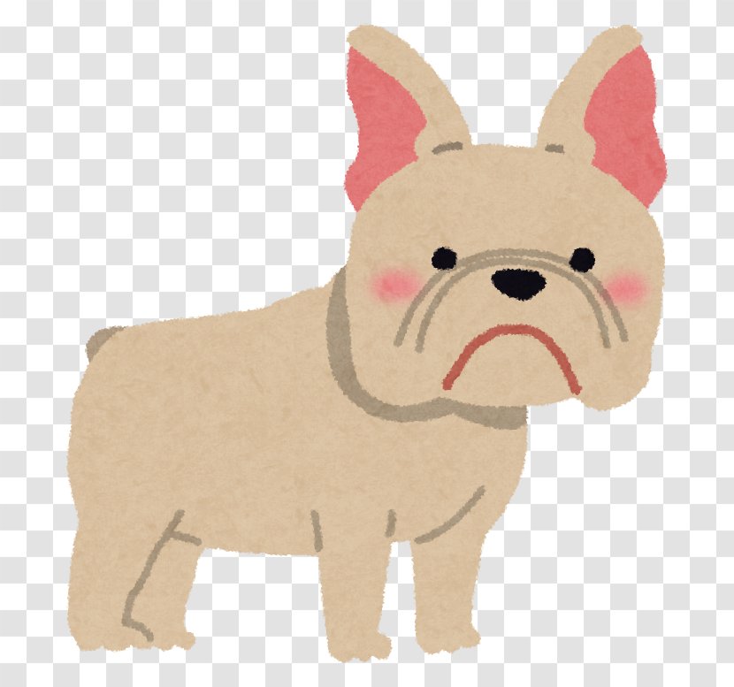 French Bulldog Dog Food Papillon Maltese Transparent PNG