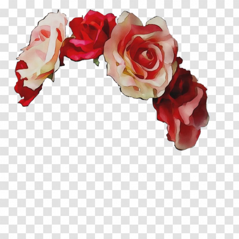 Garden Roses Cut Flowers Floral Design - Plant - Rose Transparent PNG