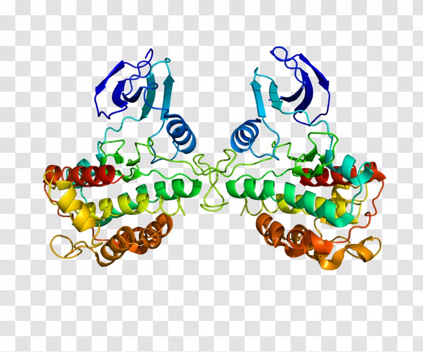 RPS6KA1 Protein Kinase Ribosomal S6 Ribosome Transparent PNG