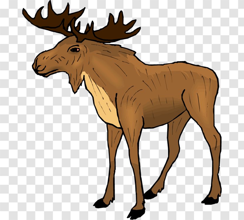 Moose Deer Clip Art - Horse Like Mammal Transparent PNG