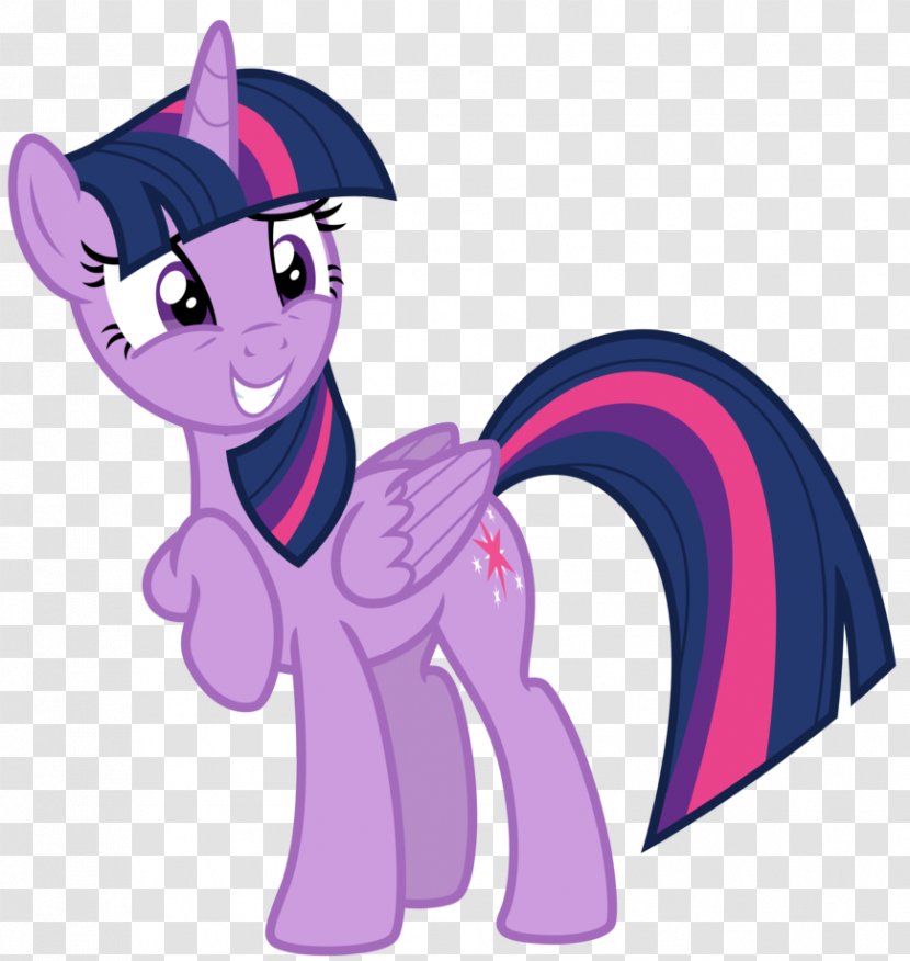 Twilight Sparkle My Little Pony: Equestria Girls YouTube - Vertebrate - Sparkles Transparent PNG