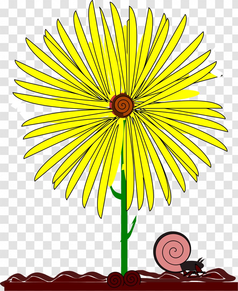 Common Daisy Yellow Flower Clip Art - Floral Design Transparent PNG