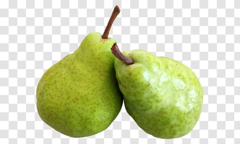 Transparency Asian Pear Fruit Purée - Pur%c3%a9e - Pitaya Transparent PNG
