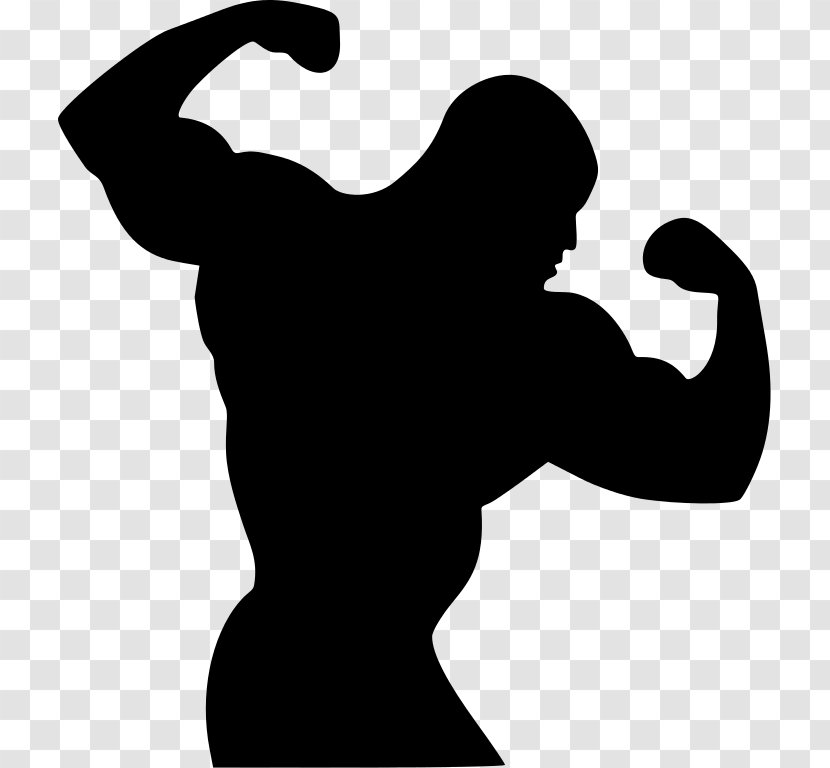 Bodybuilding Physical Fitness Exercise CrossFit - Arm Transparent PNG