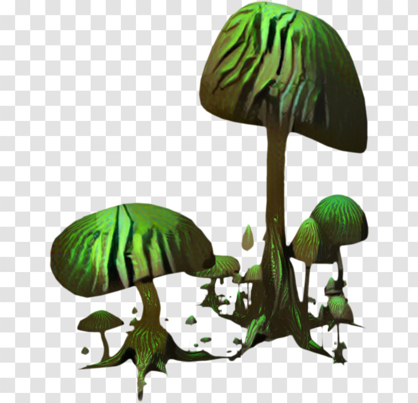 Mushroom Clip Art Green Illustration Image - Leaf - Organism Transparent PNG