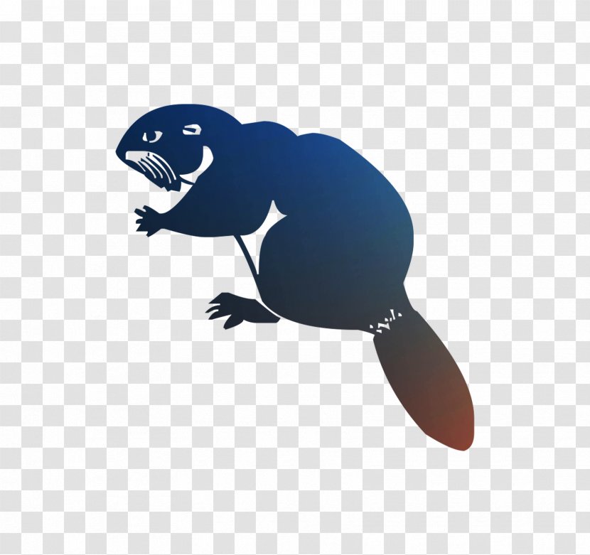 Clip Art Beak - Marine Mammal Transparent PNG