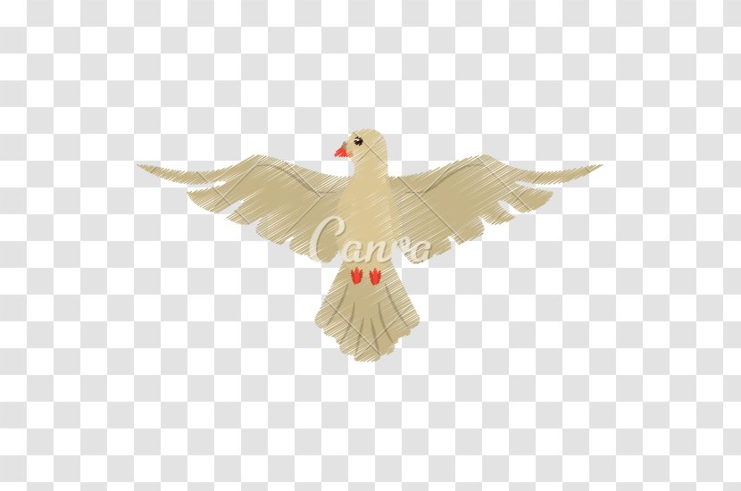 Columbidae Doves As Symbols Drawing Holy Spirit - Beak Transparent PNG