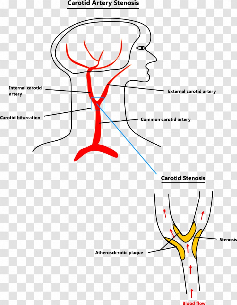 Organism Point Clip Art - Silhouette - Angle Transparent PNG