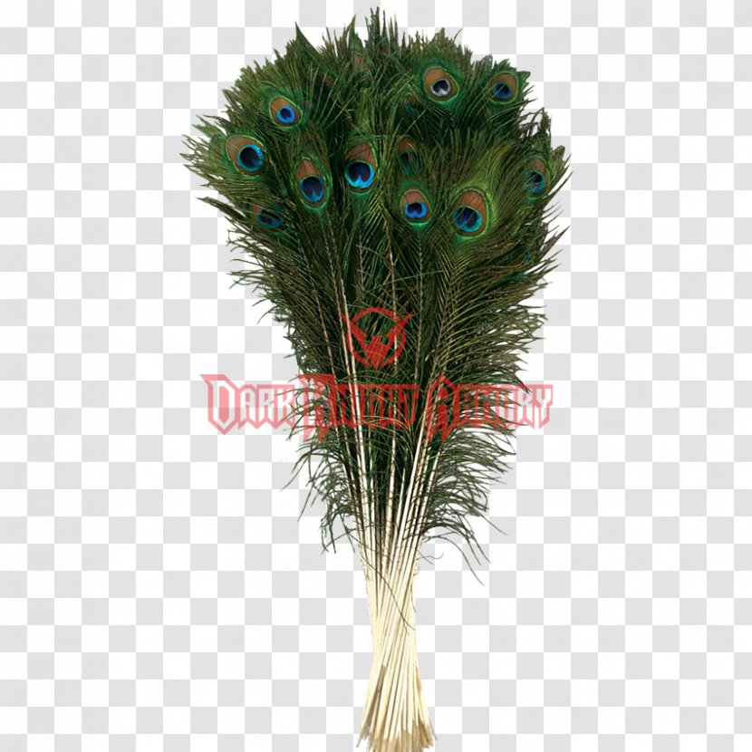 Feather Peafowl Tail Fur Hair - Palm Trees Transparent PNG