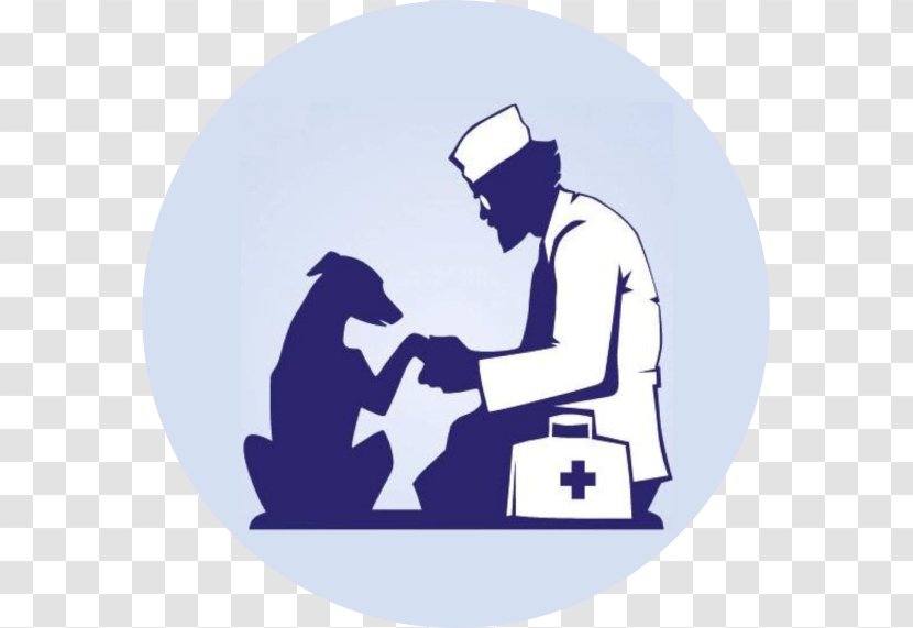 Cat Spasatel' Veterinarian Veterinary Medicine Castration - Olx Transparent PNG