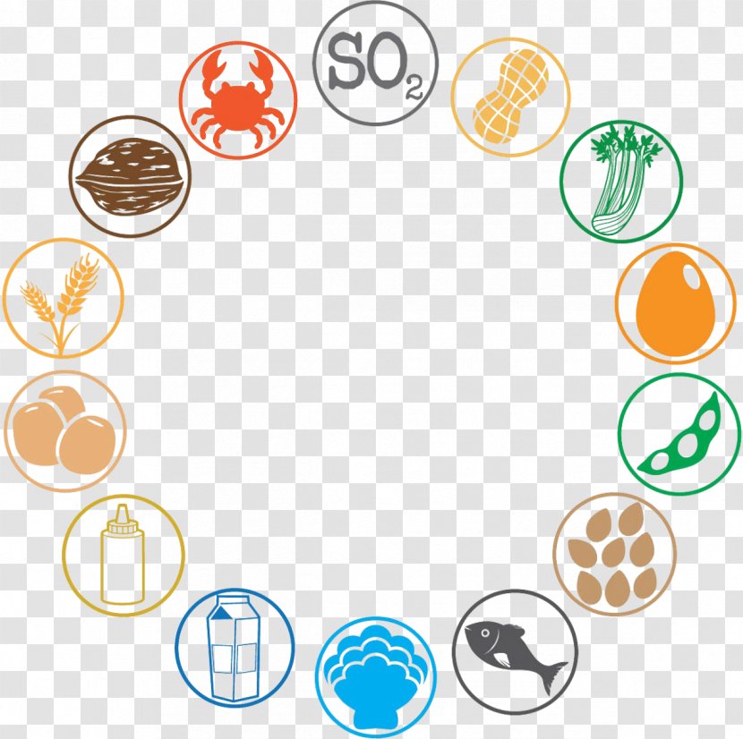 Allergeni Alimentari Food Menu Allergy - Body Jewelry - Brochure Transparent PNG