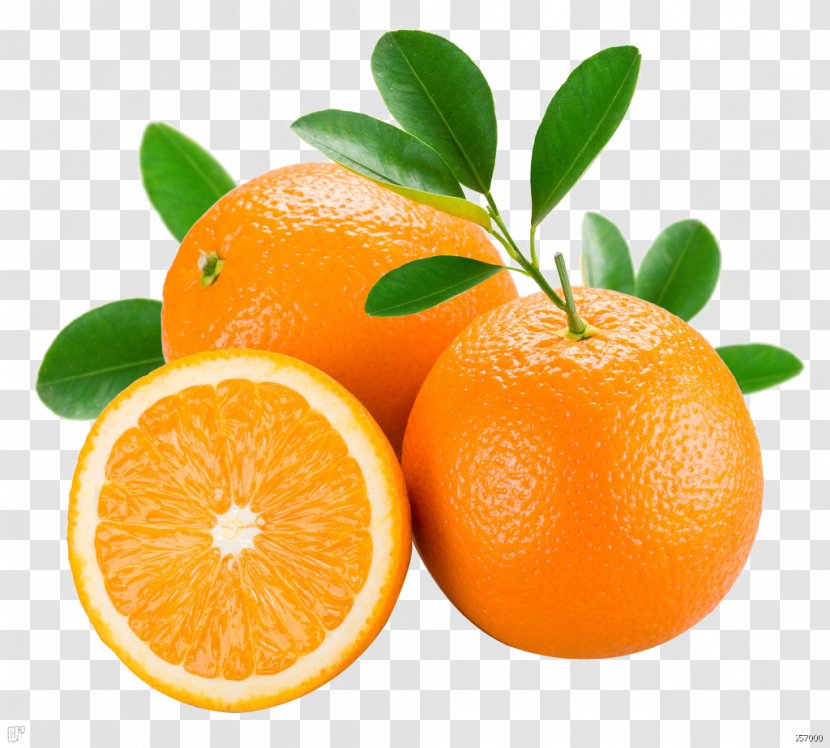 Organic Food Lotion Tangerine Orange Fruit - Pattern Transparent PNG