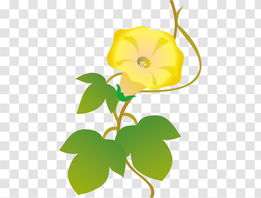 Japanese Morning Glory Flower Floral Design Clip Art - Plant - California Transparent PNG