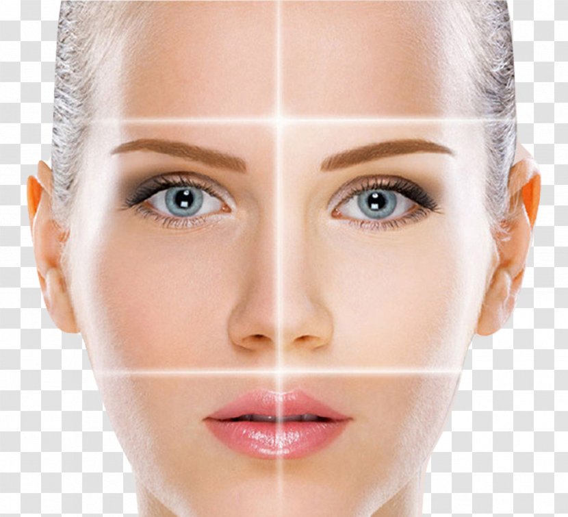 Cream Moisturizer Skin Care Cosmetics - Eyebrow - Gluta Transparent PNG