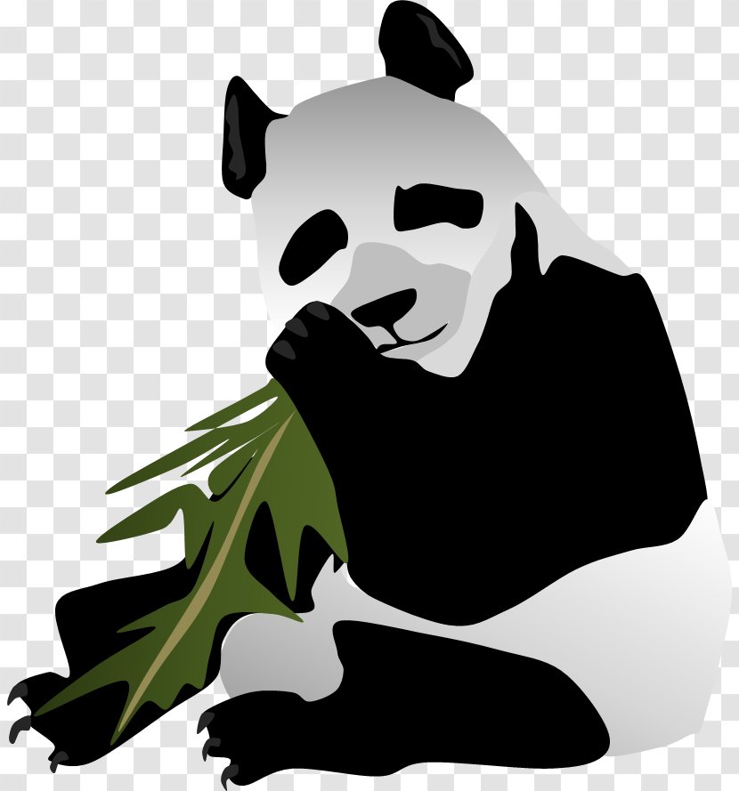 Bear Giant Panda Dog Mammal Carnivora - Black M Transparent PNG