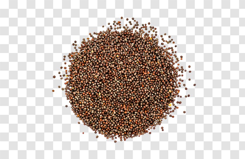 Seasoning Chili Powder Pepper Seed Cayenne - Flavor - Spice Transparent PNG