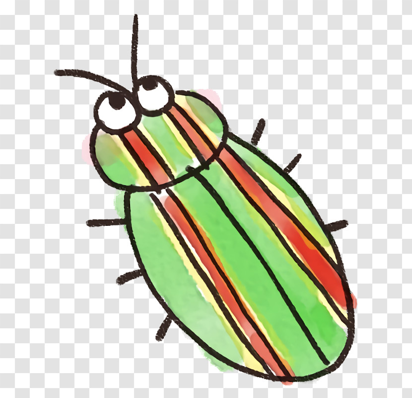 Insect Jewel Bugs Jewel Beetles Blister Beetles Transparent PNG