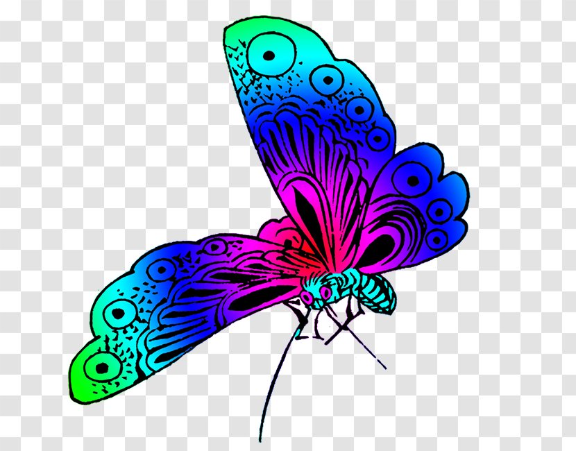 Butterfly Desktop Wallpaper Color Clip Art - Drawing - Wonderful Transparent PNG