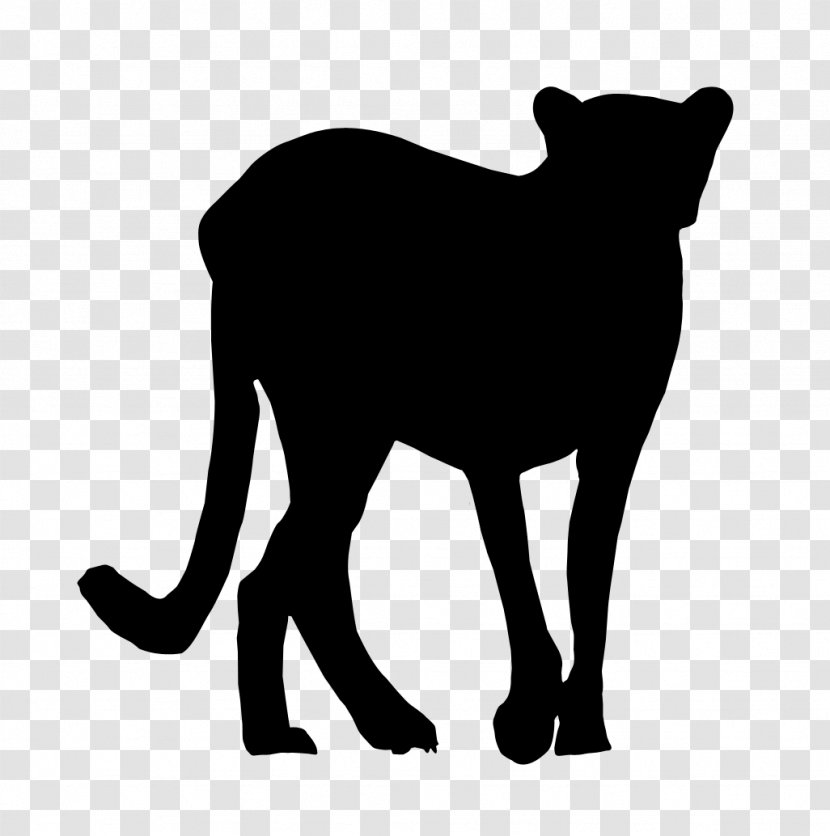 Whiskers Dog Cat Mammal Snout - Line Art Transparent PNG